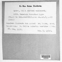 Image Associated With the Occurence